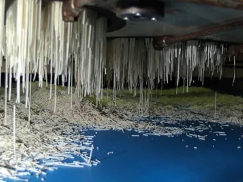 福爾波西格林（Forbo Siegling）傳送帶和加工帶適于糖果業(yè)中的多項(xiàng)應(yīng)用